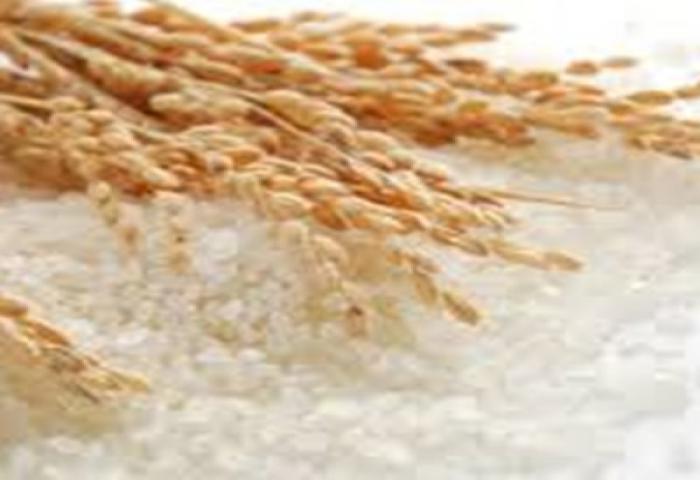 Usai Berlakukan HET Beras, Pemerintah Evaluasi Kembali